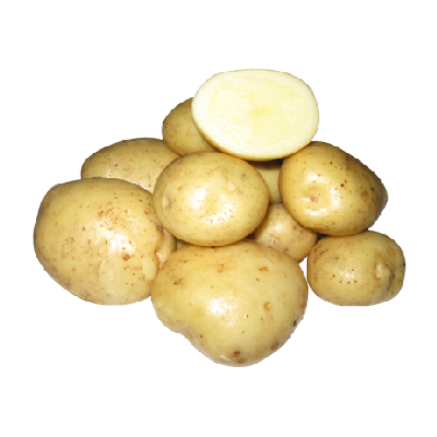 купить картофель адретта в минске