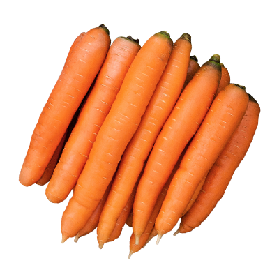 купить морковь в минске