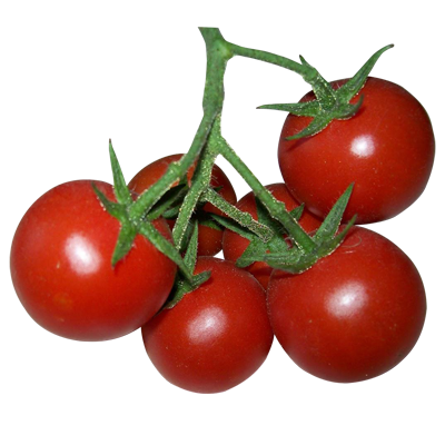 купить домашние помидоры в минске